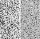 a close-up of a black and white photo