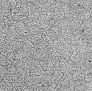 a close-up of a grey surface