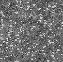 a close-up of a black and white speckled surface