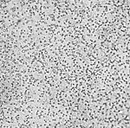 a close-up of a white surface