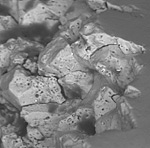 a close-up of a rock