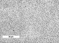 a close-up of a white surface