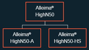 a diagram of a company