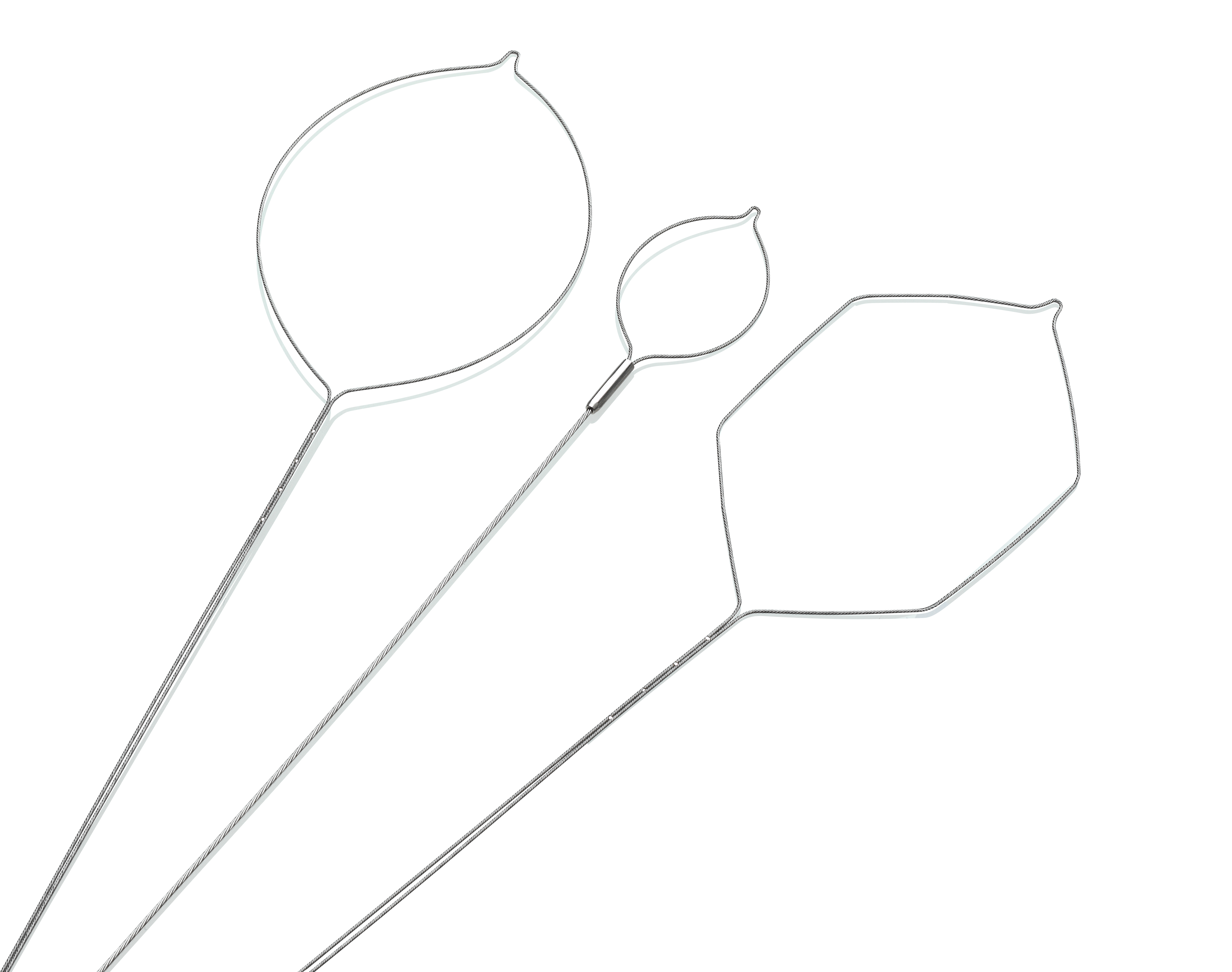 a group of objects with leaves