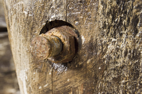a bolt in a wood