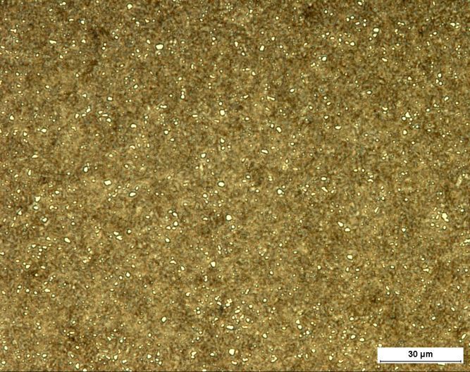 Sanprint RP microstructure