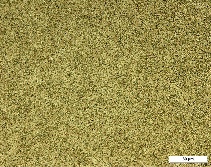 Sanprint RPS microstructure